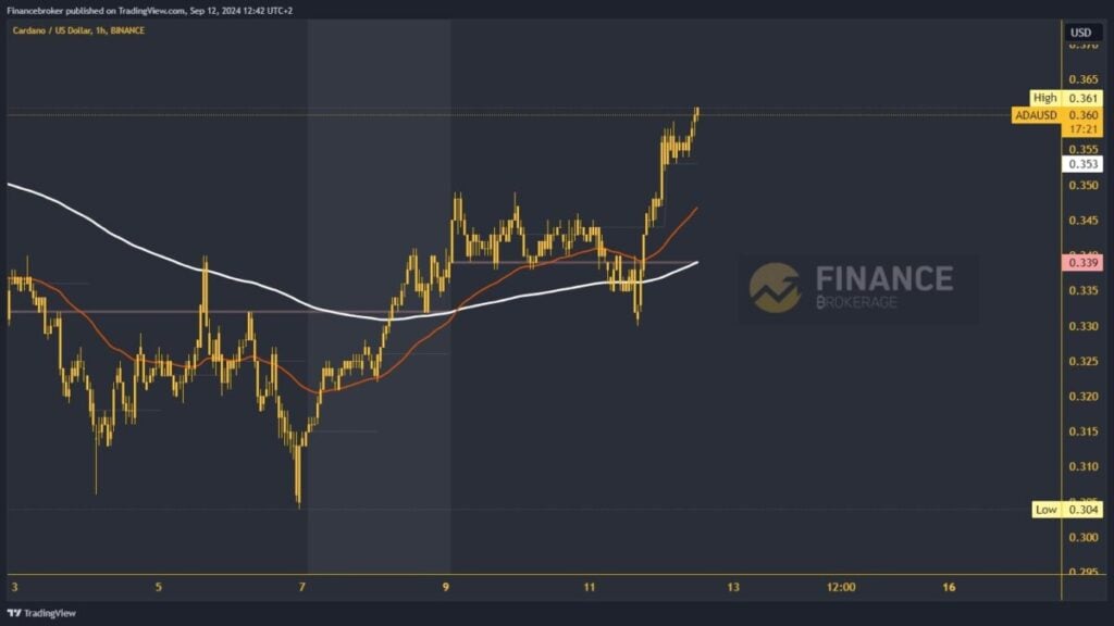 Cardano chart analysis